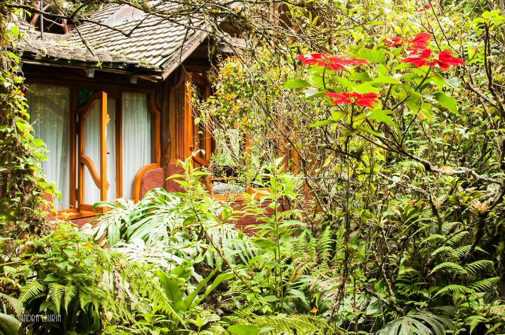 Finca Chamanapamba Guest House บาญอส ภายนอก รูปภาพ
